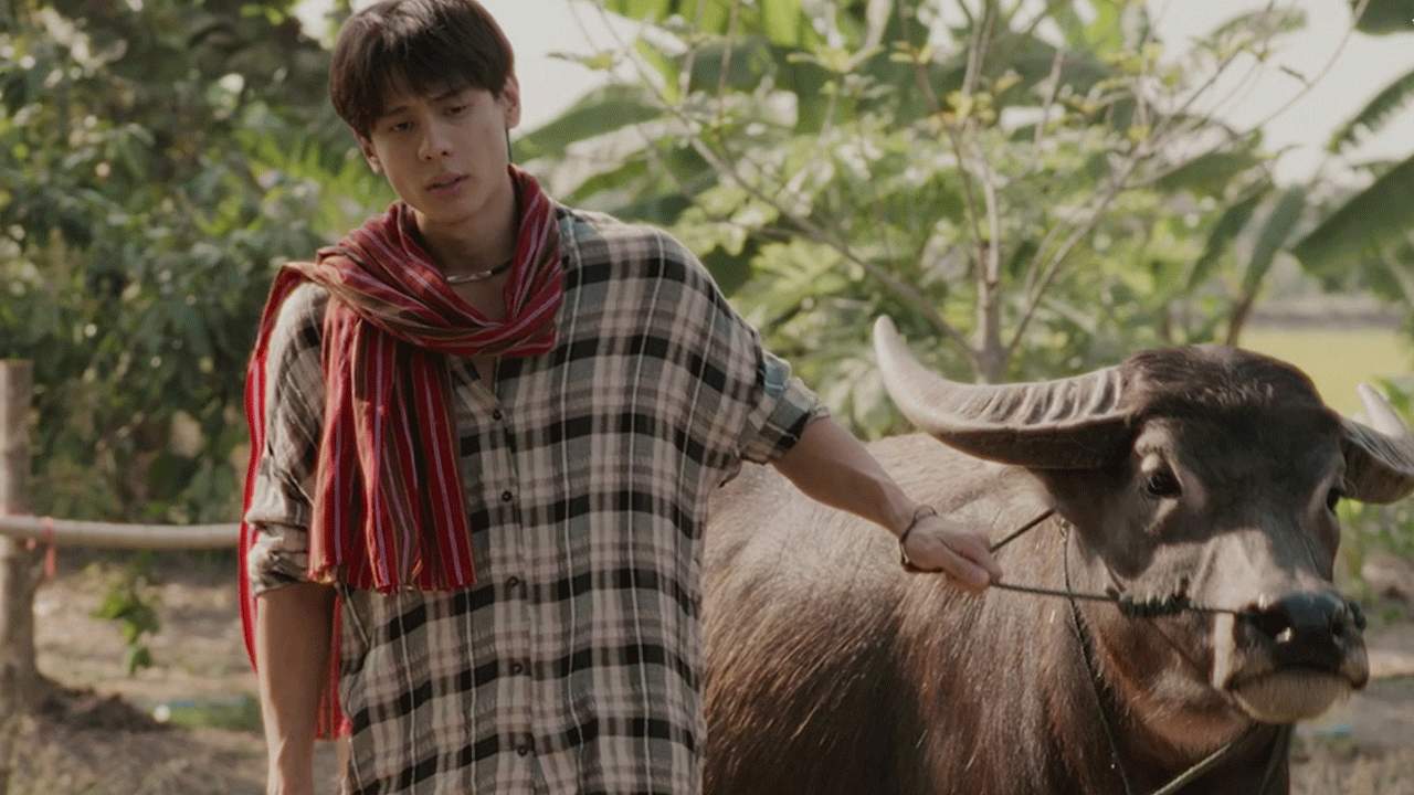 ทุยจ๋า - 2025