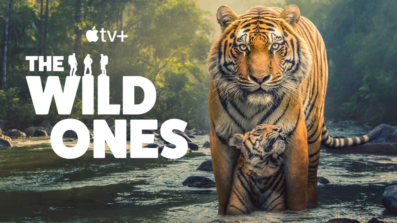 The Wild Ones (ซับไทย) - 2025