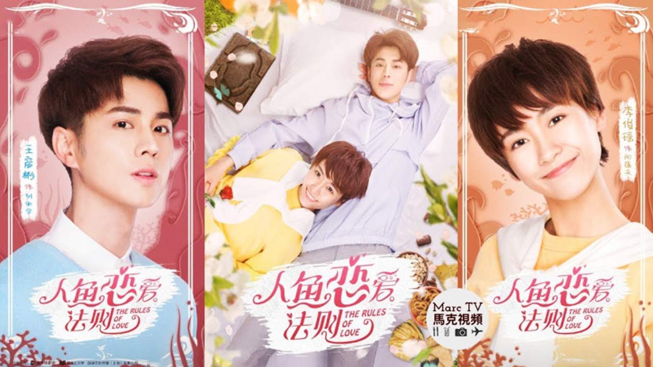 The Rules of Love - กฏรักมัดใจเงือก (ซับไทย) (จบ) - 2019