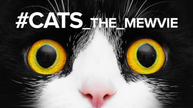 #cats_the_mewvie - 2020