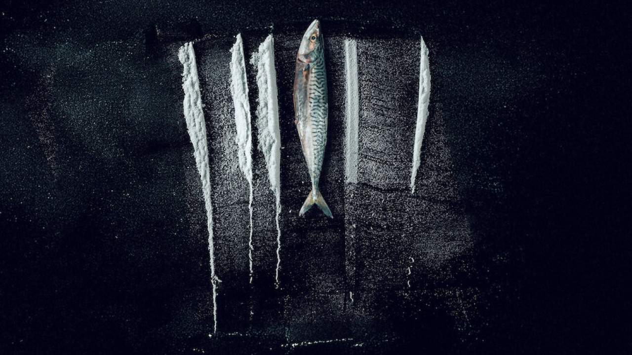 Turn of the Tide: The Surreal Story of Rabo de Peixe - อาชญากรน้ำเค็ม: เปิดเรื่องจริงสุดเหลือเชื่อ (ซับไทย) - 2025