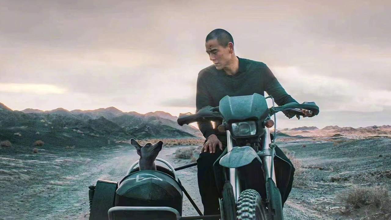 Black Dog - สี่ขาหัวใจไม่ดำ - 2024